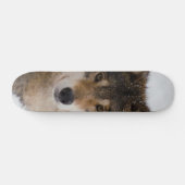 European Grey Wolf Skateboard (Horizontal)