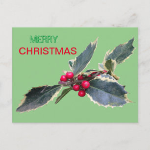European Holly Frory Weihnachtskust. Postkarte