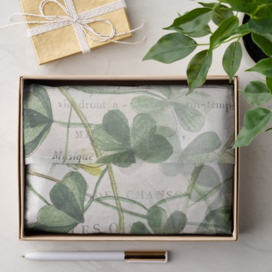 European Robin Bird Blume Decoupage Seidenpapier (Geschenk)