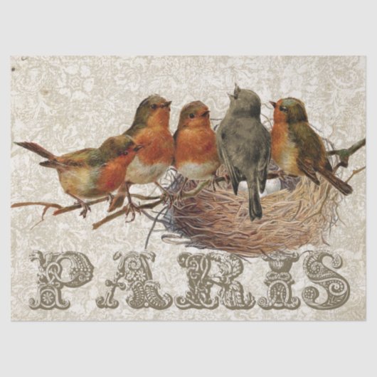 European Robin Birds Nest Paris Decoupage Seidenpapier (Vorderseite)