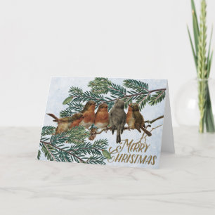 European Robin Birds Weihnachtsfeiertag Evergreen Feiertagskarte