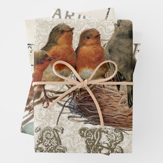 European Robin French Script Nest Egg Postmark Set Geschenkpapier Set (Beispiel)