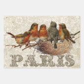 European Robin French Script Nest Egg Postmark Set Geschenkpapier Set (Vorderseite)