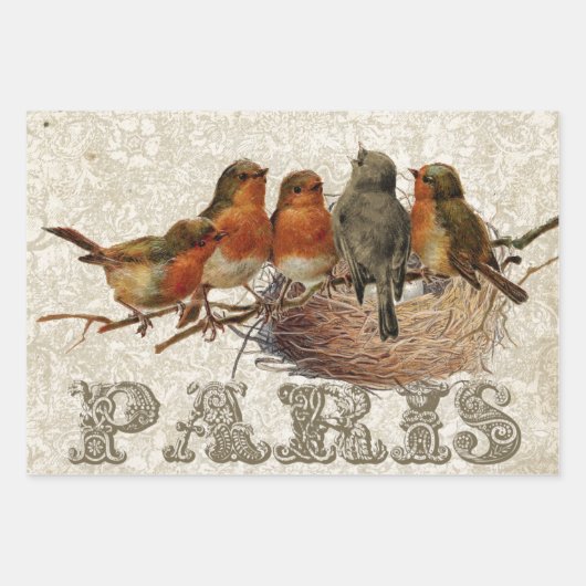 European Robin French Script Nest Egg Postmark Set Geschenkpapier Set (Vorderseite)