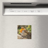 European Robin Fridge Magnet (In Situ (Geschirrspüler))