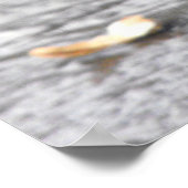 European Robin Poster (Ecke)