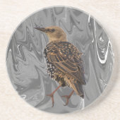 European Starling Bird Coaster Getränkeuntersetzer (Vorne)