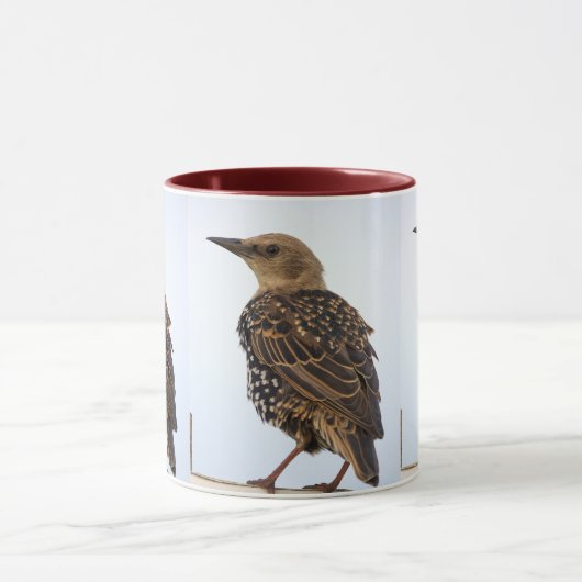 European Starling Bird Mug Tasse (Zentrum)