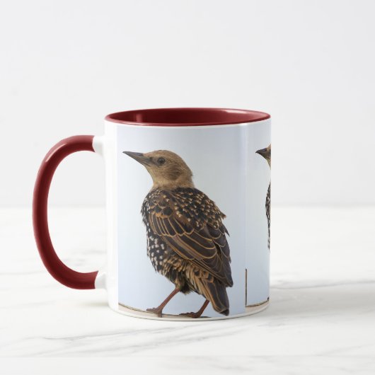 European Starling Bird Mug Tasse (Links)