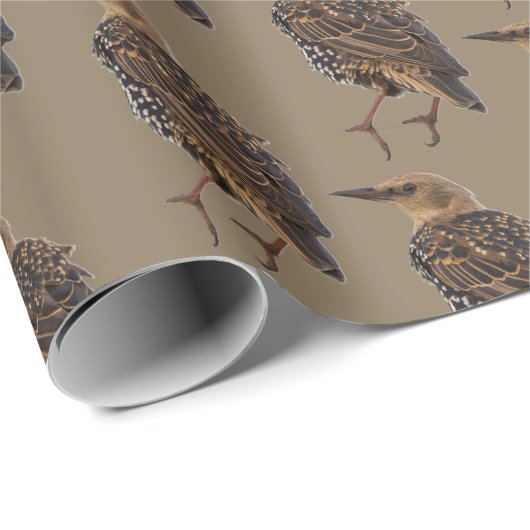 European Starling Bird Wrapping Paper Geschenkpapier (Rolleneckpunkt)