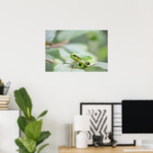 European tree frog in green poster (Heimbüro)