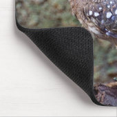 Eurypyga helias Sunbittern Mousepad (Ecke)