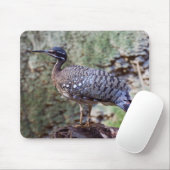 Eurypyga helias Sunbittern Mousepad (Mit Mouse)