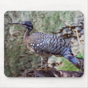 Eurypyga helias Sunbittern Mousepad