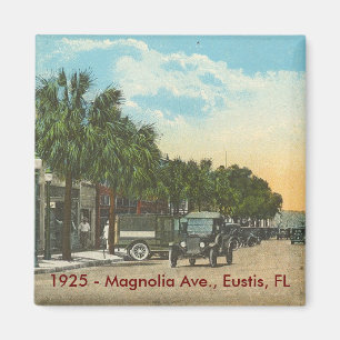 EUSTIS, FL - 1925 - Magnolien-Allee Magnet