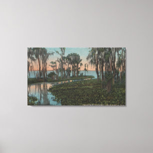 Eustis, Florida - Ansicht des Swampy Kanals Leinwanddruck
