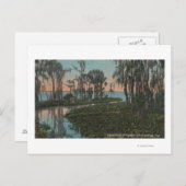 Eustis, Florida - Blick auf den Swampy-Kanal Postkarte (Vorne/Hinten)