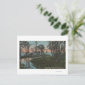 Eustis, Florida - Blick auf den Swampy-Kanal Postkarte (Stehend Vorderseite)