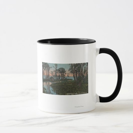 Eustis, Florida - Blick auf den Swampy-Kanal Tasse (Rechts)
