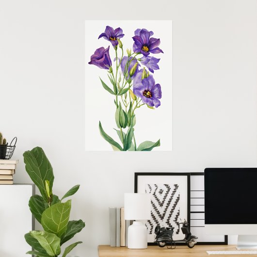Eustoma Russelianum, violette Blumen, Poster (Heimbüro)