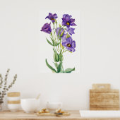Eustoma Russelianum, violette Blumen, Poster (Küche)