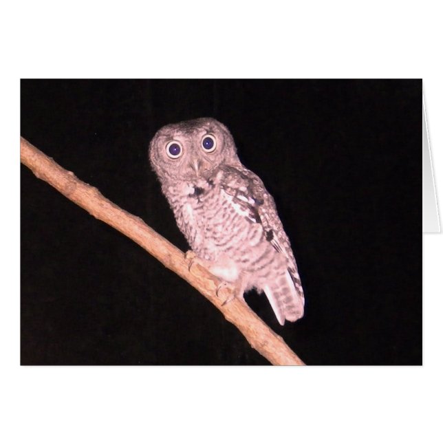Euulenkarte (Vorderseite (Horizontal))