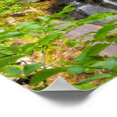 Evans Falls, Maine Poster (Ecke)