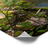Evans Falls, Maine Poster (Ecke)