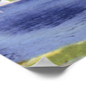 Evanston Illinois Lagoon Lake Front Park Poster (Ecke)
