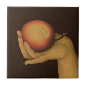 Eve, 1528 fliese (Vorderseite)