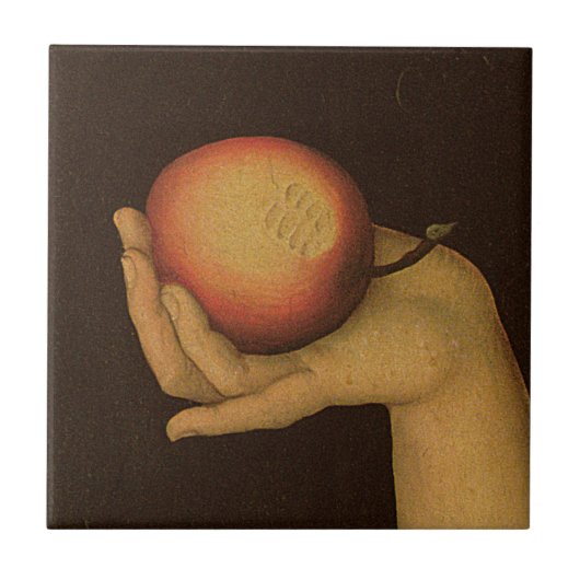 Eve, 1528 fliese (Vorderseite)