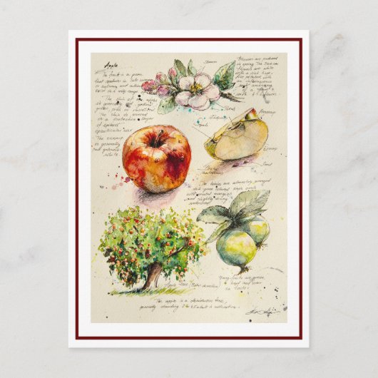 EVE Gemälde Illustration von Apple Postkarte (Vorderseite)