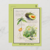 EVE Painted Avocado Botanical Illustration Poster Postkarte (Vorne/Hinten)