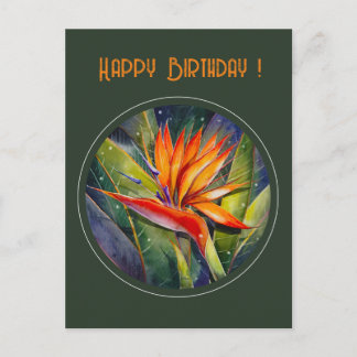EVE Painted Strelizia Blume Postkarte