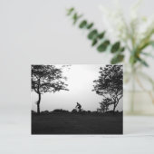 Evening Bike Ride Postkarte (Stehend Vorderseite)