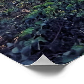 Evening in Taiwan Poster (Ecke)