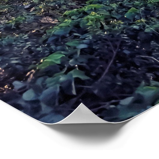 Evening in Taiwan Poster (Ecke)