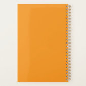 Evening light on the coast of Vormsi Planer (Rückseite)