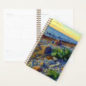 Evening light on the coast of Vormsi Planer (Anzeige)