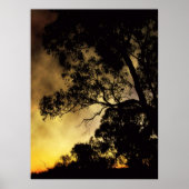 Eveningscapes Poster (Vorne)