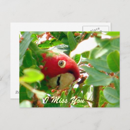 Eventuelle Ereignisse_ Postkarte (Vorne/Hinten)