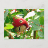 Eventuelle Ereignisse_ Postkarte (Vorderseite)