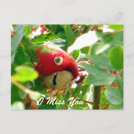 Eventuelle Ereignisse_ Postkarte (Vorderseite)