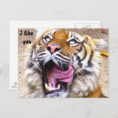 Eventuelle Ereignisse_ Postkarte (Vorne/Hinten)