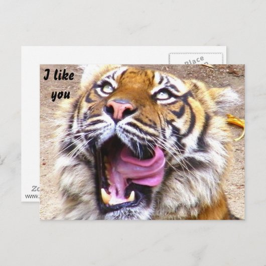 Eventuelle Ereignisse_ Postkarte (Vorne/Hinten)