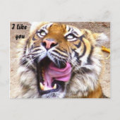 Eventuelle Ereignisse_ Postkarte (Vorderseite)