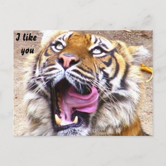 Eventuelle Ereignisse_ Postkarte (Vorderseite)