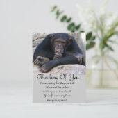 Eventuelle Ereignisse_ Postkarte (Stehend Vorderseite)