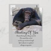 Eventuelle Ereignisse_ Postkarte (Vorne/Hinten)