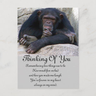 Eventuelle Ereignisse_ Postkarte